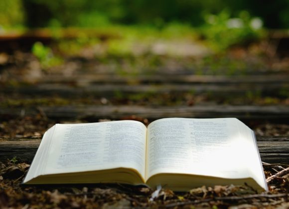 Être accompagné : Le Pape en parle aussi Être accompagné : Le Pape en parle aussi