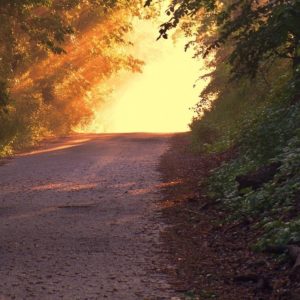 Qu’est-ce que la Vocation?