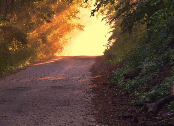 Qu’est-ce que la Vocation? Qu’est-ce que la Vocation?
