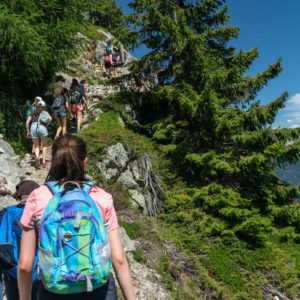 Une année “Laudato Si'” pour les Camps Voc’