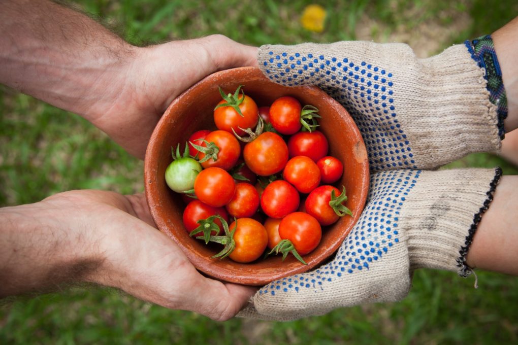 Les 6 portes de l’agroécologie