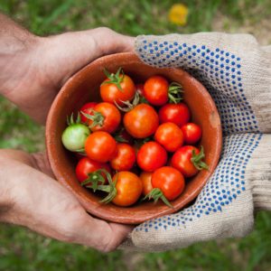 Les 6 portes de l’agroécologie