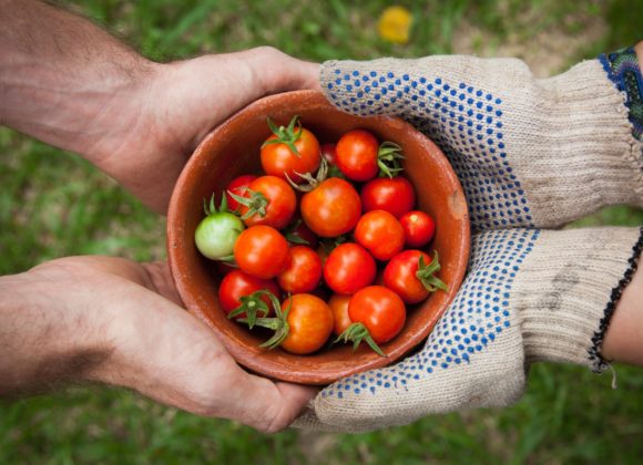 Les 6 portes de l’agroécologie Les 6 portes de l’agroécologie